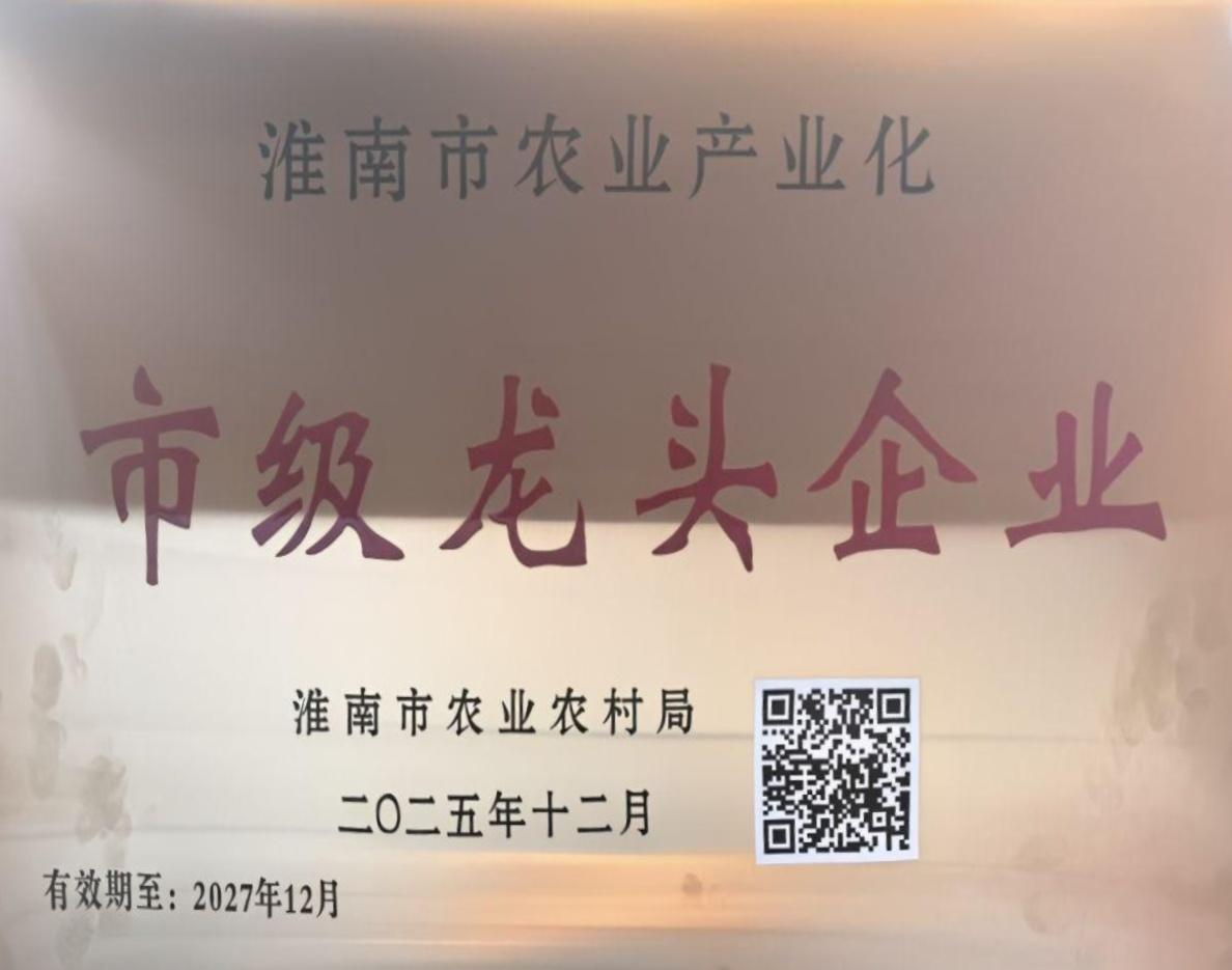 荣誉3