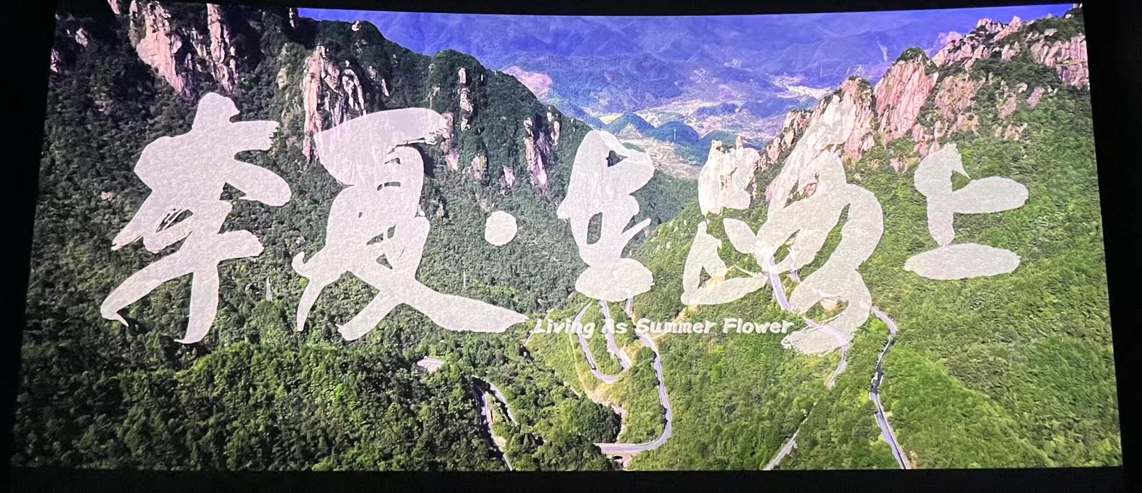 “生如夏花而绚烂”tapplay组织员工观影《李夏·在路上》
